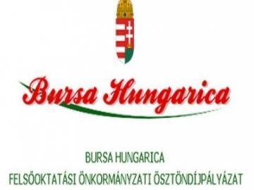 Bursa Hungarica ösztöndíj pályázat